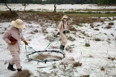 A bomb and mine clearance activity in Quang Tri province. (Photo: VNA)