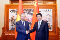General Secretary of the Communist Party of Vietnam Central Committee and President of Vietnam To Lam (L) meets with Chairman of the National Committee of the Chinese People's Political Consultative Conference Wang Huning in Beijing on April 14. (Photo: VNA)