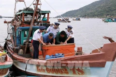Owners of fishing vessels sign commitments against IUU fishing. (Photo: VNA)