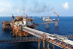 Illustrative image (Photo: PVN)