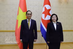 Vietnamese Minister of Foreign Affairs Le Hoai Trung (left) and DPRK Minister of Foreign Affairs Choe Son Hui. (Photo: VNA)