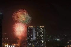 A dazzling fireworks display lights up the sky over Hanoi (Photo: VNA)