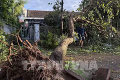 Heavy rains from November 3-7disrupt production and daily life - Illustrative image (Photo: VNA)