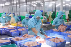 Agro-forestry-fishery trade surplus up nearly 18%. Illustrative image (Photo: VNA)