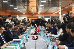 The 13th meeting of the Vietnam-Algeria Inter-Governmental Committee is held in Algiers from November 16-17. (Photo: VNA)
