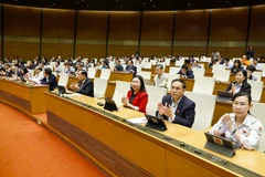 The National Assembly votes to pass the amended Law on Public Employees. (Photo: NA)