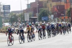 The female cyclists fiercely compete in the final stage from Vung Tau to Binh Duong at Biwase Cup 2025. (Photo: VNA)