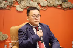 Prof. Zheng Huan from the Party School of the CPC Central Committee (Photo: VNA)