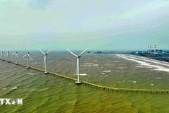 A view of a wind power plant in Tra Vinh (Photo: VNA)