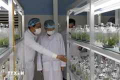 A lab at a biotech centre in Da Nang city (Photo: VNA)