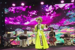 A performance at the programme. (Photo: VNA)
