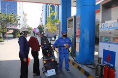 The Ministry of Industry and Trade has reported initial signs that the fuel is helping reduce emissions and protect the environment. (Photo: VNA)