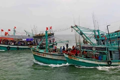 The Nghinh Ong Song Doc Festival takes place about 5-7km offshore. (Photo: VNA)