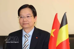 Tran Ngoc Quan, Trade Counsellor and head of the Vietnam Trade Office in Belgium and the EU (Photo: VNA)