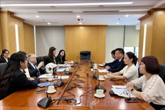 During the working session (Photo: VNA)