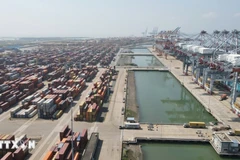 Cai Mep-Thi Vai port in Ho Chi Minh City. (Photo: VNA)