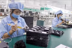 FDI inflows into Vietnam are predicted to remain strong, particularly in high-value sectors. (Illustrative photo: VNA)