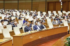 Party General Secretary To Lam, Prime Minister Pham Minh Chinh and delegates attending the session (Photo: VNA)