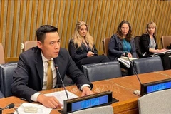 Ambassador Dang Hoang Giang, Permanent Representative of Vietnam to the UN. (Photo: VNA)