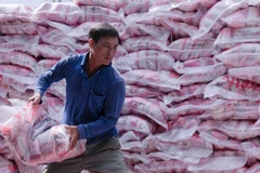 A worker loads rice packs for exports. (Photo: VNA)