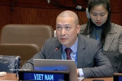 Minister Counsellor Nguyen Hoang Nguyen, Deputy Permanent Representative of Vietnam to the UN. (Photo: VNA)
