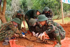 Members of the martyrs’ remains search team recover martyrs’ remains. (Photo: VNA) 