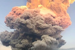 Mount Lewotobi Laki-Laki, one of twined volcanoes on the eastern tourist island of Flores, erupts on June 17, 2025. (Photo: Xinhua/VNA)