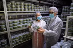 Seminar participants visit a laboratory of an Israeli agricultural company. (Photo: VNA) 