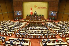 At the National Assembly's 9th extraordinary session (Photo: VNA)