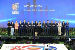 Delegates attend the ASEAN+3 Ministers on Energy Meeting. (Photo published by VNA)