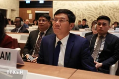 Deputy Auditor General of Vietnam Doan Anh Tho (Photo: VNA)