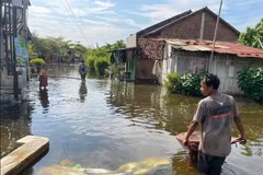 A man wheels a wheelbarrow down a residential street in Tirto district, Pekalongan, a city of Central Java, Indonesia, amid tidal flooding (Photo: Pekalongan city Government)