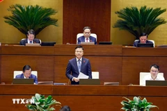 Deputy Prime Minister Le Thanh Long speaks at the 15th National Assembly's ongoing 10th session (Photo: VNA)