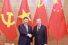 General Secretary of the Communist Party of Vietnam To Lam (R) and General Secretary of the Communist Party of China and President of China Xi Jinping (Photo: VNA)