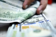 The daily reference exchange rate is kept at 25,122 VND/USD on January 7. (Photo: Xinhua/VNA)