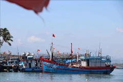 Illustrative image (Photo: VNA)