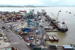 Loading goods for delivery at Quy Nhon Port in Gia Lai province (Photo: VNA)