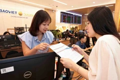 An investor performs a transaction at a Bao Viet Securities trading floor. (Photo: VNA)