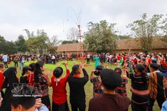 The "Colours of Spring across the Nation" event draws the participation of a large number of people. (Photo: VNA)