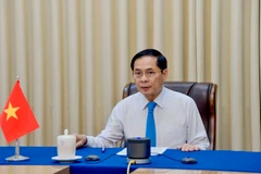 Deputy Prime Minister and Minister of Foreign Affairs Bui Thanh Son (Photo: VNA)