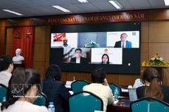 Participants in the hybrid seminar on May 11. (Photo: VNA)