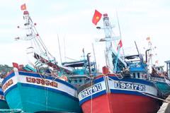 At Ba Tri fishing port in Vinh Long province (Photo: VNA)