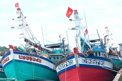 At Ba Tri fishing port in Vinh Long province (Photo: VNA)