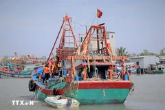 Under a resolution adopted by Quang Ngai provincial People’s Council at its 8th session on December 30, owners who dismantle their fishing vessels will receive a one-off support payment equivalent to 40% of the vessel’s assessed value at the time of valuation (Photo: VNA)