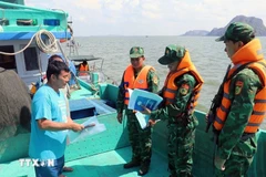 Border guards examine documentation of a fishing vessel. (Photo: VNA)