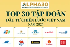 The inaugural ALPHA30 ranking of the top 30 strategic investment corporations in Vietnam this year. (Source: thuehaiquan.tapchikinhtetaichinh.vn)