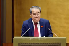 Chairman of the NA Committee for Ombudsman and Supervision Duong Thanh Binh delivering the report (Photo: VNA)