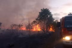 Prolonged heat grips Malaysia, Brunei sees spike in forest fires