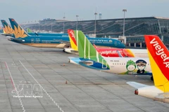 Aircraft of Vietnamese airlines at Noi Bai International Airport. (Photo: VNA)