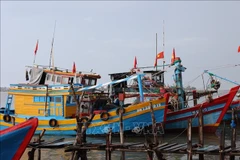 A fishing boat operates off the coast of Ho Chi Minh City (Photo: VNA)